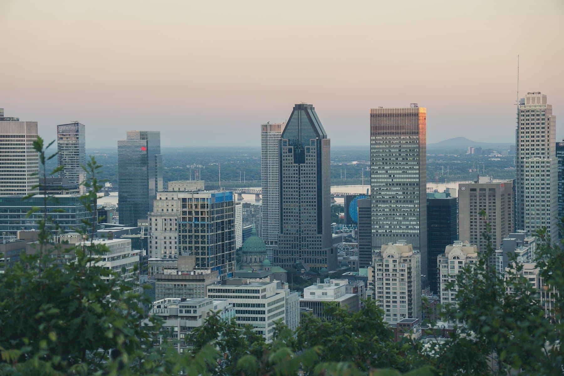 Downtown Montréal seen from Mount Royal