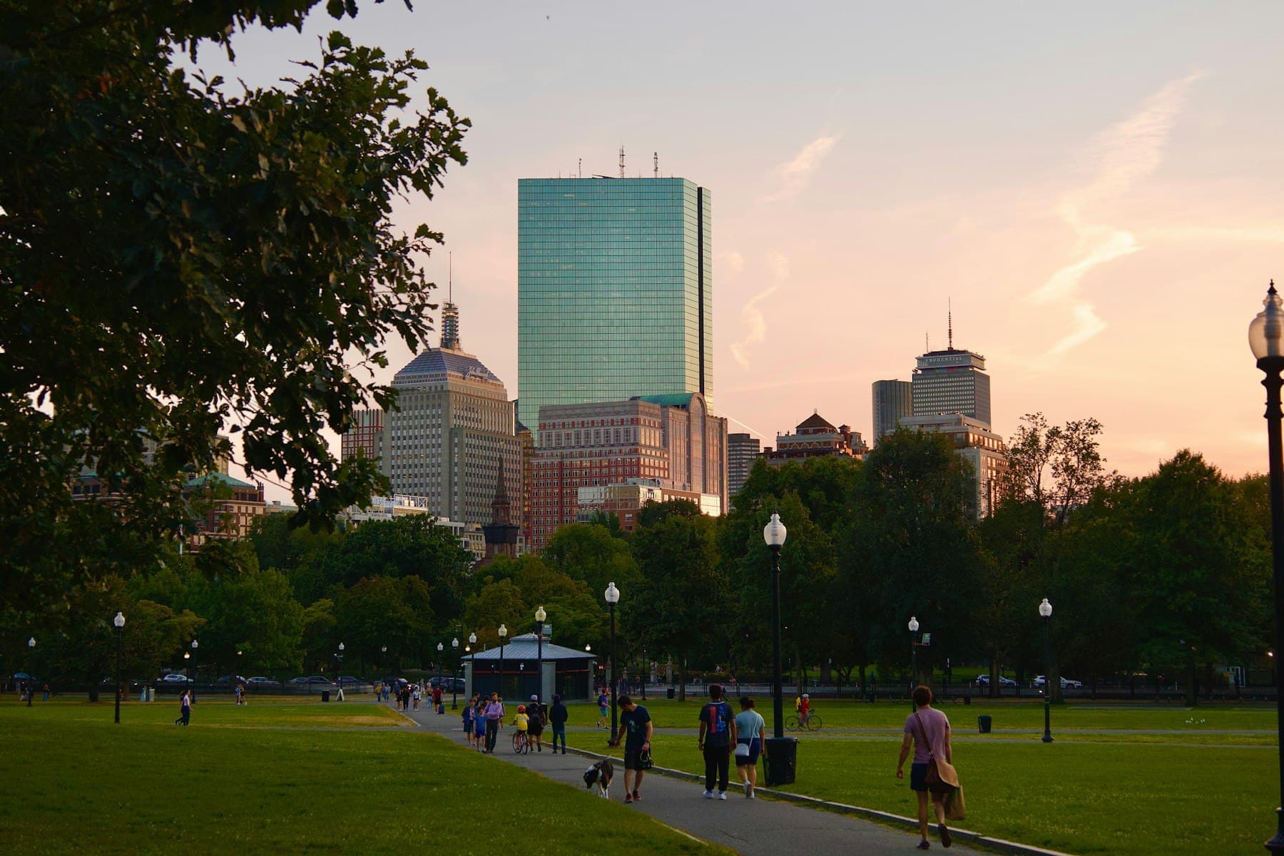 The Boston skyline from a park at sunset